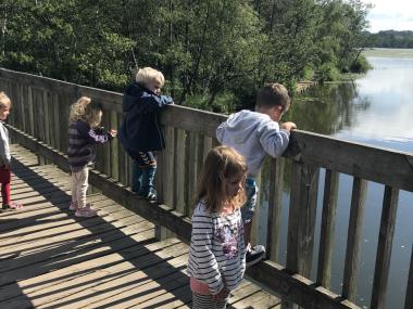 Billede af 5 børn som står på en bro og ser ned på søen